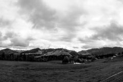 IMG_3389-2